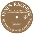 (45回転)2枚組LP SET  VLADIMIR SHAFRANOV JAPAN TRIO ウラジミール・シャフラノフ・ジャパン・トリオ /  WHAT  A  WONDERFUL  WORLD  この素晴らしき世界