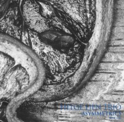 画像1: CD   HELGE LIEN TRIO  ヘルゲ・リエン  / ASYMMETRICS ; アシンメトリクス