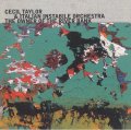 CD CECIL TAYLOR WITH ITALIAN INSTABILE ORCH. セシル・テイラー・ウィズ・イタリアン・インスタビーレ・オーケストラ /  ジ・オーナー・オブ・ザ・リヴァー・バンク