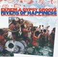 CD EKREM & GYPSY GROOVZ WITH DUSKO GOYKOVICH エクレム＆ジプシー・グルーヴス・ウィズ・ダスコ・ゴイコヴィッチ /  リヴァース・オブ・ハピネス