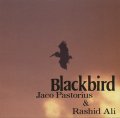 CD JACO PASTORIUS & RASHID ALI ジャコ・パストリアス〜ラシッド・アリ /  BLACKBIRD   ブラックバーズ