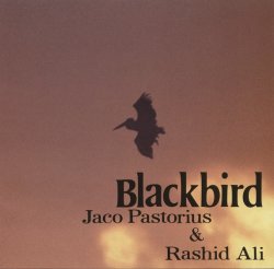 画像1: CD JACO PASTORIUS & RASHID ALI ジャコ・パストリアス〜ラシッド・アリ /  BLACKBIRD   ブラックバーズ