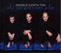 硬派かつファンキーな、芯の通った旨口ピアノ会心打!! CD MAGNUS HJORTH TRIO / OLD NEW BORROWED BLUE