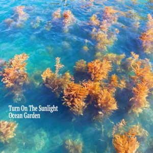 画像: ［rings］ 金延幸子、Sam Gendel 等参加 CD Turn On The Sunlight  ターン・オン・ザ・サンライト / Ocean Garden オーシャン・ガーデン