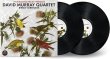 David Murray Quartet / Birdly Serenade