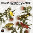 David Murray Quartet / Birdly Serenade