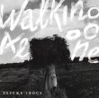 井上 陽介 / Walking Alone