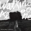 井上 陽介 / Walking Alone