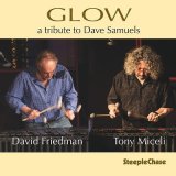 画像: 輸入盤CD　David Friedman & Tony Miceli デイヴィッド・フリードマン＆トニー・ミセリ / Glow  ヴィブラフォン2台が織りなすきらめく音の対話 