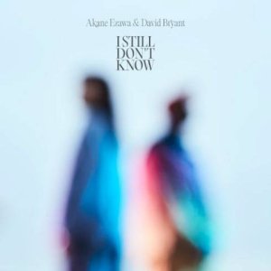 画像: CD  Akane Ezawa & David Bryant  江澤 茜  デヴィッド・ブライアント  /   I STILL DON'T KNOW   アイ・スティル・ドンノウ