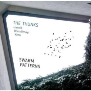 画像: 輸入盤CD THUNKS / SWARM PATTERNS  三人の表現者がニケルスドルフの夜に刻んだ、共鳴の軌跡。 