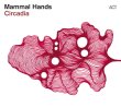 画像5: 輸入盤CD　MAMMAL HANDS ママル・ハンズ / CIRCADIA <br> <span style="color: red;"> ニューエイジ寄りのクールな耽美派ピアノ弾奏と武骨で熱血な重厚テナー咆哮がキレのあるドラム鳴動にノセられてテイスティーに映えるイマドキ感一杯な英国発フューチャー・ファンク・ジャズ(または人力エレクトロニカ)の独創作</span>