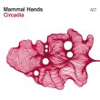 Mammal Hands / Circadia