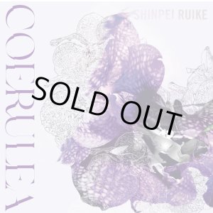 画像: 国内制作CD　類家 心平 SHINPEI RUIKE / セルレア COERULEA     翳り濃くピリッと苦味走ったハードボイルド調の硬質アクション・トランペット咆哮がソリッドかつグルーヴィーに映える現代シリアス筋ポスト・バップの真髄! 
