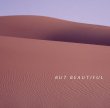 渡辺 貞夫 / But Beautiful