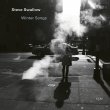 Steve Swallow / Winter Songs
