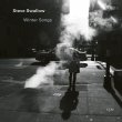 Steve Swallow / Winter Songs