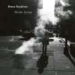 Steve Swallow / Winter Songs