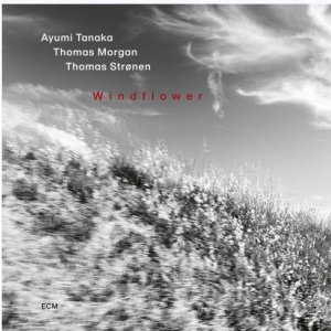 画像: 【ECM】国内SHM-CD 田中鮎美/トーマス・モーガン/トーマス・ストレーネン AYUMI TANAKA / Windflower  東洋・西洋・北欧の感性が溶け合う室内楽の緻密さとジャズの即興性。3人の感性が美しく調和。  