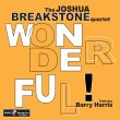 Joshua Breakstone Quartet / Wonderful!