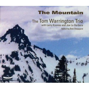 画像: 陰影深くニュアンス濃やかなクール・ギターの活躍が絶好調CD!!  TOM WARRINGTON TRIO  トム・ウォリントン  / THE MOUNTAIN