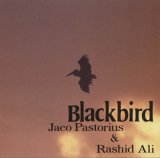 画像: CD JACO PASTORIUS & RASHID ALI ジャコ・パストリアス〜ラシッド・アリ /  BLACKBIRD   ブラックバーズ