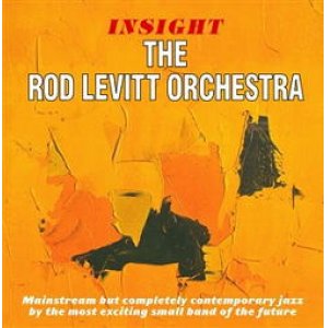 画像: CD   ROD LEVITT ロッド・レヴィット / INSIGHT + SOLID GROUND  