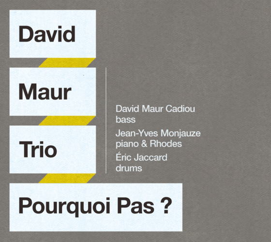 画像1: 弦から放たれたベースの迷いのない力強さ! CD DAVID MAUR TRIO ダヴィッド・モウ・トリオ / POURQUOI PAS ?