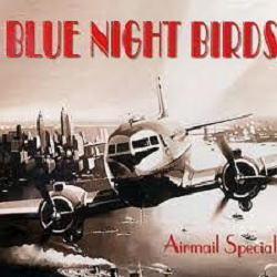 画像1: 隠れヴォーカル名盤の限定復刻 CD Blue Night Birds feat. Christelle Pereira / Airmail Special