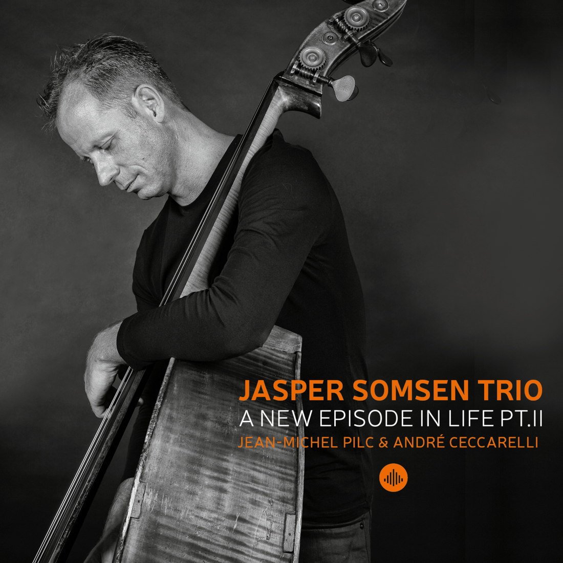 Jasper Somsen Trio / A New Episode In Life Pt. II
