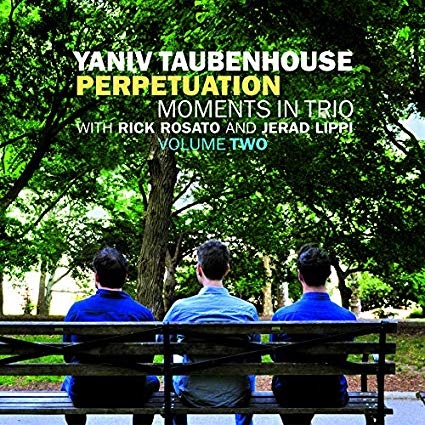 画像1: CD YANIV TAUBENHOUSE / PERPETUATION MOMENTS IN TRIO 