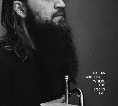 画像1: 【STUNT】LP TOBIAS WIKLUND トビアス・ウィクランド / WHERE THE SPIRITS EAT