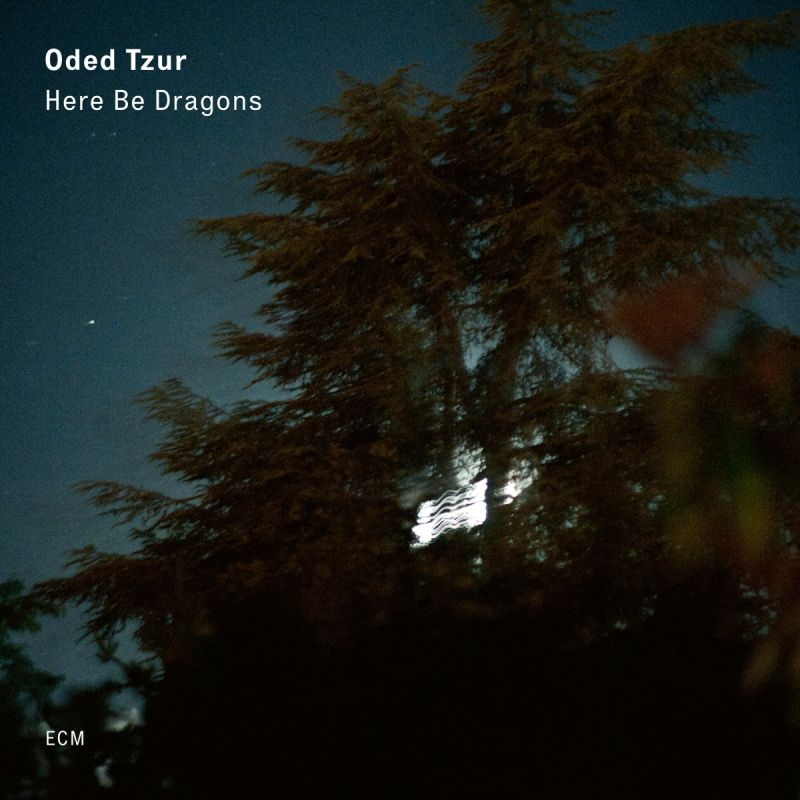 Oded Tzur / Here Be Dragons
