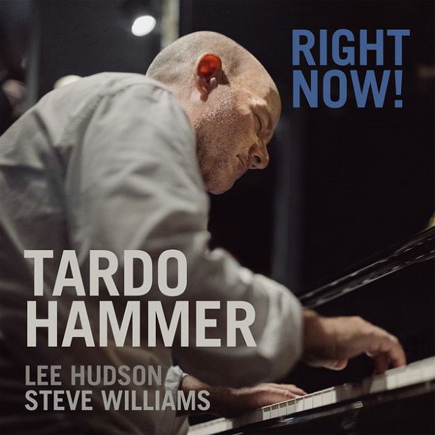 画像1: 限定輸入盤LP TARDO  HAMMER TRIO タード・ハマー・トリオ / RIGHT  NOW!