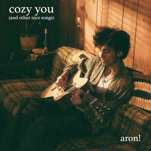 画像1: CD aron! (Aron Stornaiuolo) / cozy you (and other nice songs)