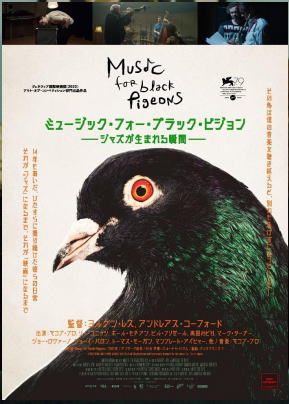 画像1: 【DVD】 Jakob Bro ヤコブ・ブロ / ミュージック・フォー・ブラック・ピジョン ――ジャズが生まれる瞬間――