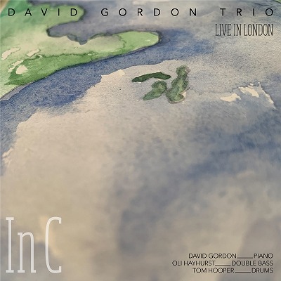 画像1: 【日本語解説付き輸入盤CD】CD David Gordon Trio デビッド・ゴードン・トリオ / In C