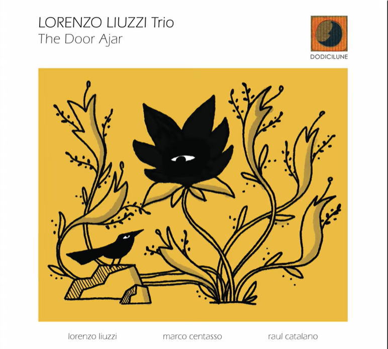 画像1: CD Lorenzo Liuzzi Trio ロレンツォ・リウッツィ・トリオ / The Door Ajar