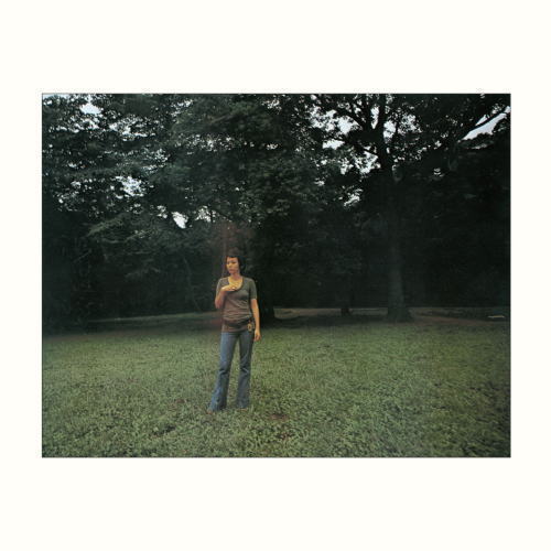 画像1: 【完全生産限定盤】180g重量盤LP  笠井紀美子 + 峰厚介四重奏団 KIMIKO KASAI + KOSUKE MINE   /  イエロー・カーカス・イン・ザ・ブルー