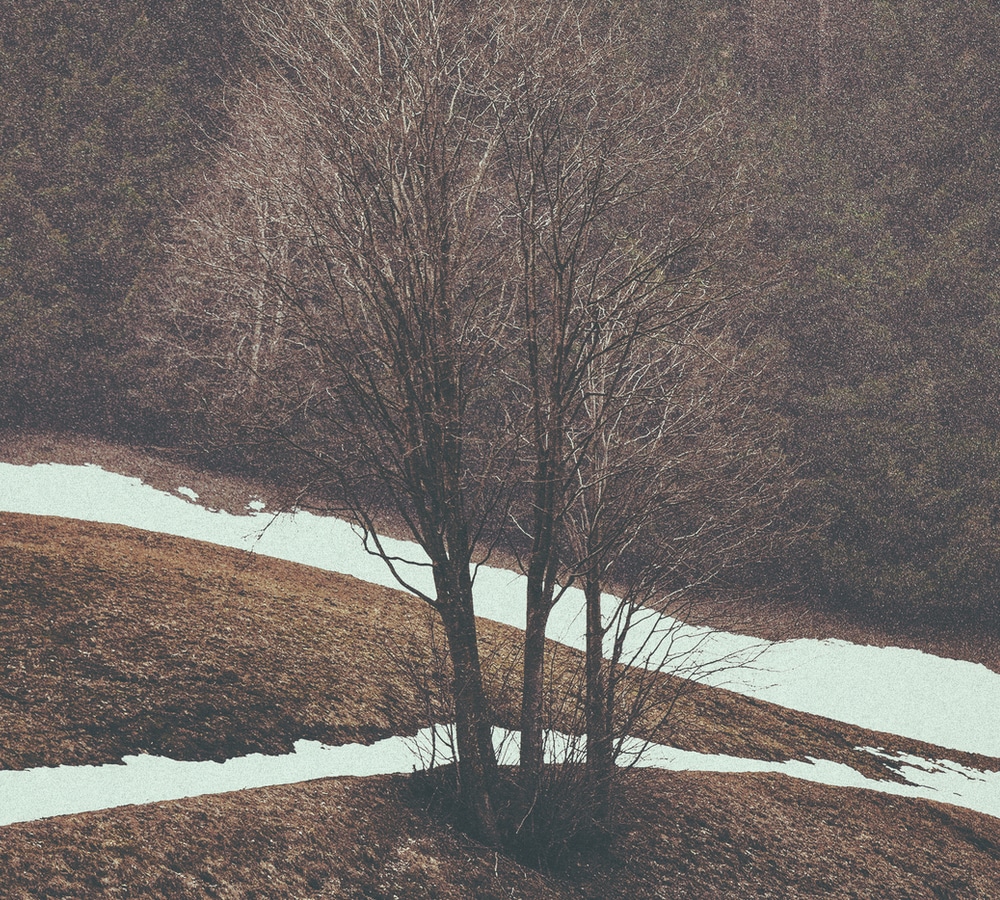 Søren Bebe Trio / First Song