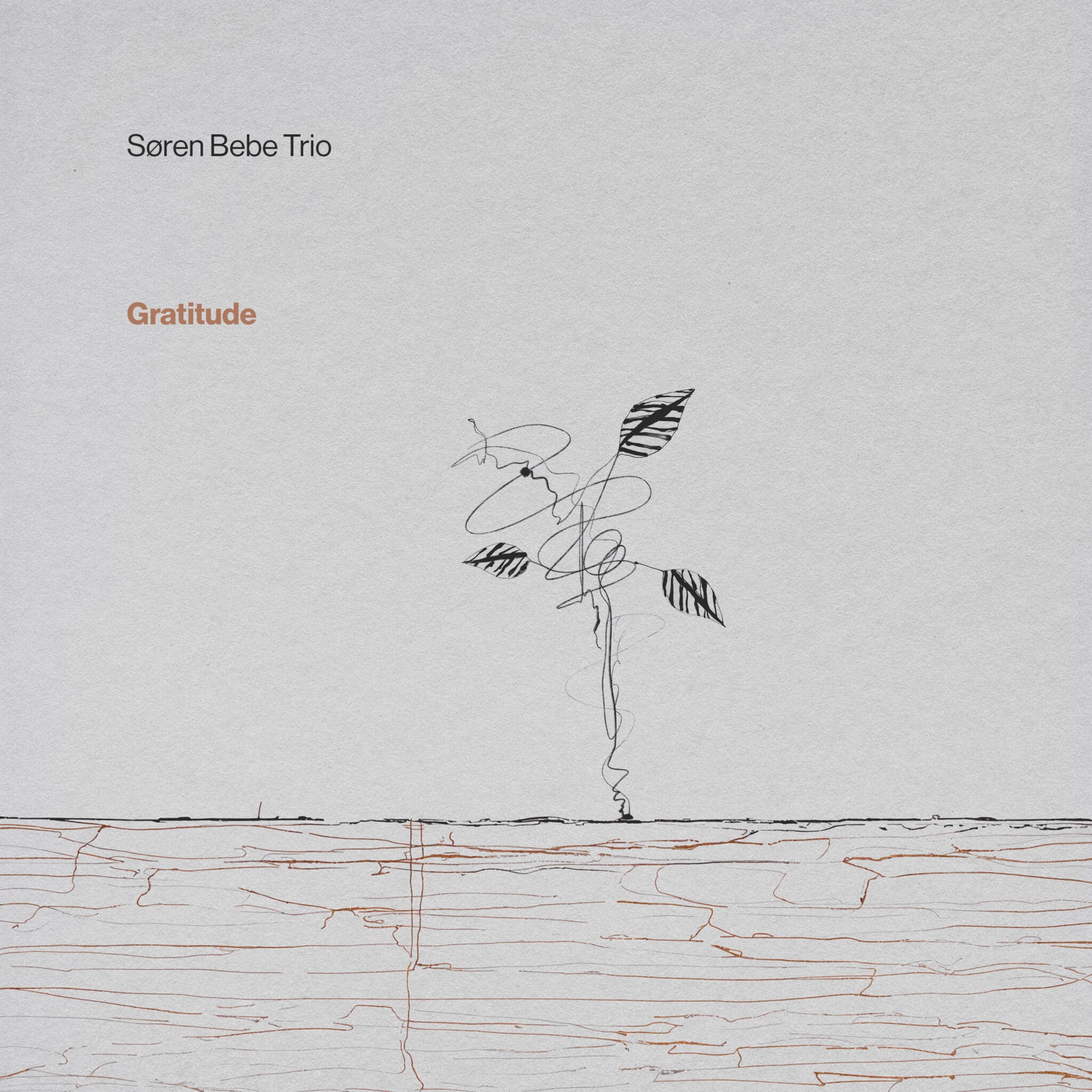 Søren Bebe Trio / Gratitude