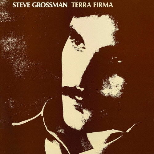 画像1: 【ジャズ万博 期間限定価格CD】CD STEVE GROSSMAN スティーブ・グロスマン / TERRA FIRMA テラ・ファーマ  