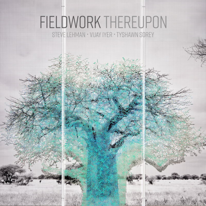 画像1: CD Fieldwork (Vijay Iyer,Steve Lehman, Tyshawn Sorey) / 