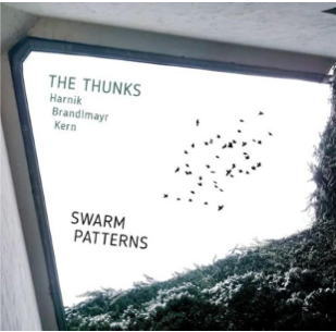 画像1: 輸入盤CD THUNKS / SWARM PATTERNS  三人の表現者がニケルスドルフの夜に刻んだ、共鳴の軌跡。 