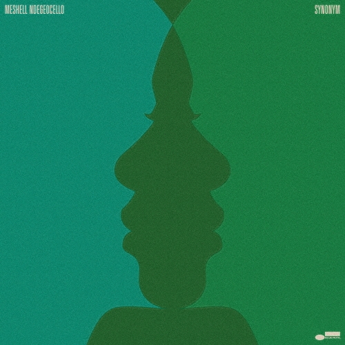 画像1: 国内盤SHM-CD　MESHELL NDEGEOCELLO  ミシェル・ンデゲオチェロ /  SYNONYM  シノニム