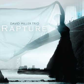 画像1: 人情娯楽イズムに徹した職人気質の渋旨ブルージー快演CD    DAVE MILLER TRIO デイヴ・ミラー / RAPTURE