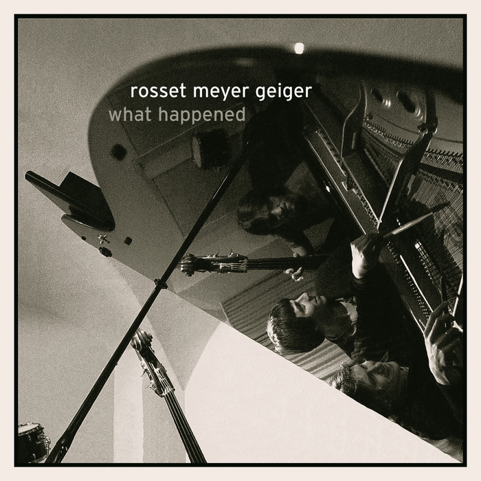 画像1: CD ブルースの旨味と烈しい抽象カラーが交錯するスイス現代ピアノ・トリオ! ROSSET MEYER GEIGER / WHAT HAPPENED