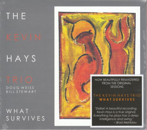 画像1: 待望の再プレス！CD KEVIN HAYS TRIO ケヴィン・ヘイズ / WHAT SURVIVES