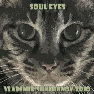 画像1: 完全限定180g重量盤2枚組LP VLADIMIR SHAFRANOV TRIO ウラジミール・シャフラノフ・トリオ /  ソウル・アイズ  SOUL EYES   ヴィーナス・ジャズの傑作をニュー・カッティングの2枚組LPで！ 